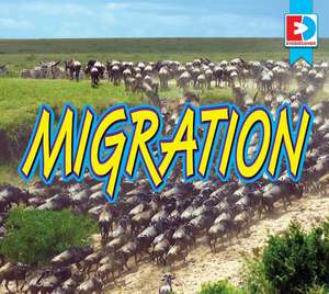 Migration de John Willis