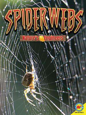 Spiderwebs de Nancy Furstinger