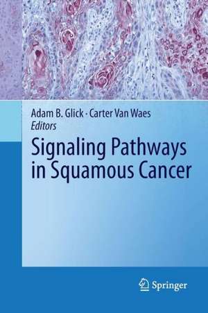 Signaling Pathways in Squamous Cancer de Adam B. Glick