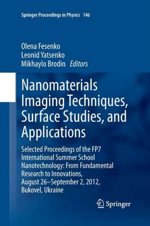 Nanomaterials Imaging Techniques, Surface Studies, and Applications: Selected Proceedings of the FP7 International Summer School Nanotechnology: From Fundamental Research to Innovations, August 26-September 2, 2012, Bukovel, Ukraine de Olena Fesenko