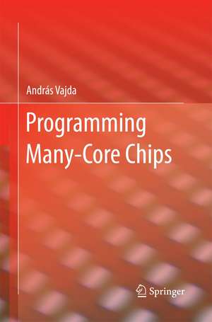 Programming Many-Core Chips de András Vajda