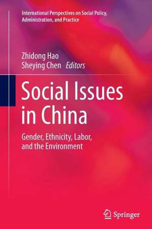 Social Issues in China: Gender, Ethnicity, Labor, and the Environment de Zhidong Hao