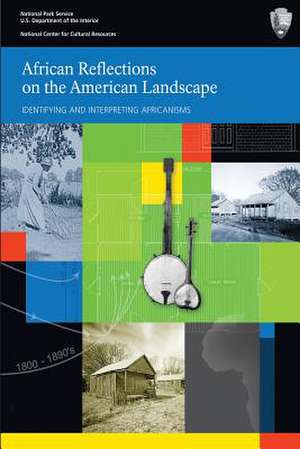 African Reflections on the American Landscape de Brian D. Joyner