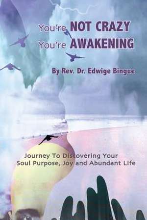 You're Not Crazy, You're Awakening de Edwige Bingue