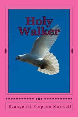 Holy Walker de Rev Stephen Cortney Maxwell