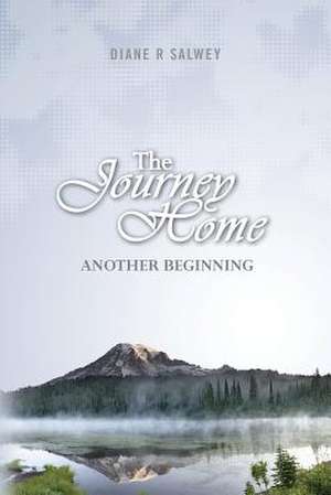 Another Beginning de Diane R. Salwey