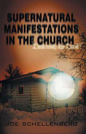 Supernatural Manifestations in the Church de D. C. C. Joseph Schellenberg