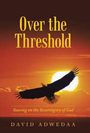 Over the Threshold de David Adwedaa