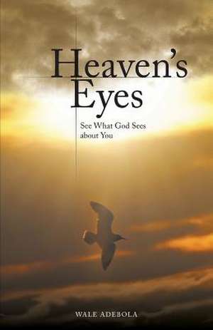 Heaven's Eyes de Wale Adebola