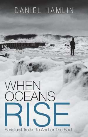 When Oceans Rise de Daniel Hamlin