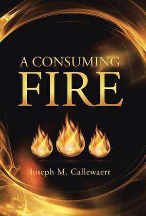 A Consuming Fire de Joseph M. Callewaert