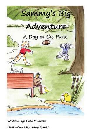 A Day in the Park de Pete Mravetz