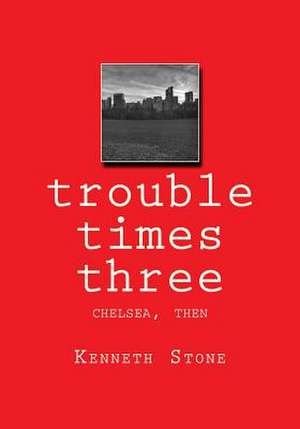 Trouble Times Three de MR Kenneth J. Stone