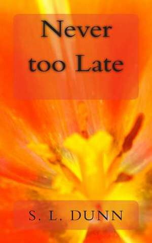 Never Too Late de Shannon Dunn