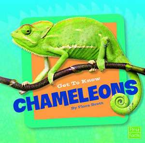 Get to Know Chameleons de Flora Brett