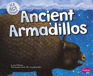 Ancient Armadillos de Jeni Wittrock