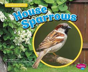 House Sparrows de Lisa J. Amstutz