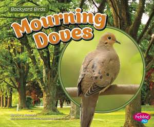 Mourning Doves de Lisa J. Amstutz