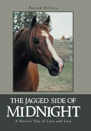 The Jagged Side of Midnight de Patrick Dicicco