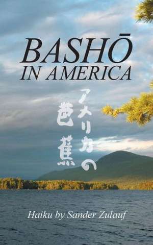 Bash in America de Sander Zulauf