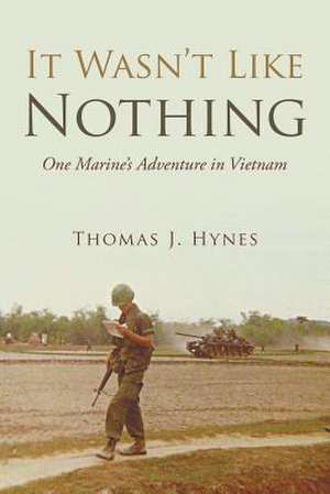 It Wasn't Like Nothing de Thomas J. Hynes