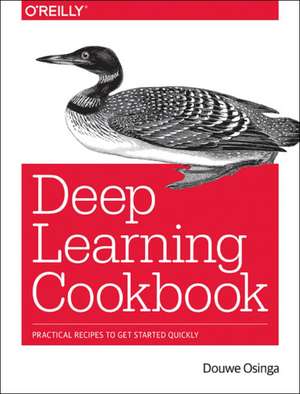 Deep Learning Cookbook de Douwe Osinga