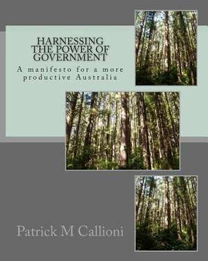 Harnessing the Power of Government de Patrick M. Callioni