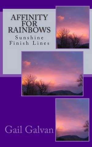 Affinity for Rainbows de Gail Galvan