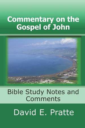 Commentary on the Gospel of John de David E. Pratte