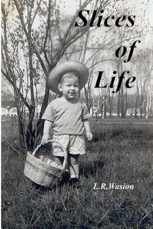 Slices of Life de L. R. Wasion