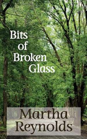 Bits of Broken Glass de Martha Reynolds