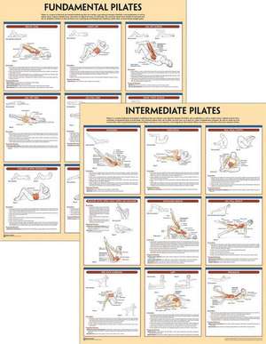 Pilates Anatomy Poster Series de Human Kinetics