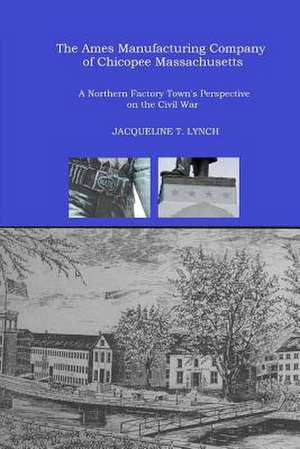 The Ames Manufacturing Company of Chicopee, Massachusetts de Jacqueline T. Lynch