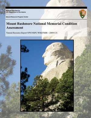 Mount Rushmore National Memorial Condition Assessment de National Park Service