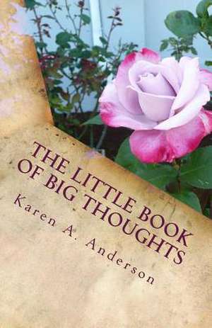 The Little Book of Big Thoughts--Vol. 3 de Karen A. Anderson