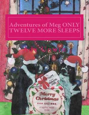 Adventures of Meg Only Twelve More Sleeps de Ade Unwin