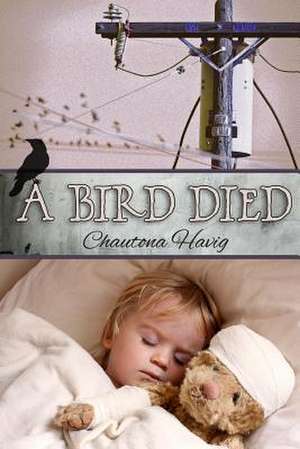 A Bird Died de Chautona Havig