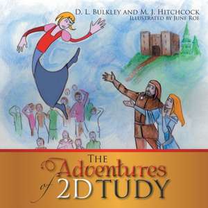 The Adventures of 2D Tudy de D. Bulkley