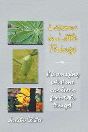 Lessons in Little Things de Judith Clister