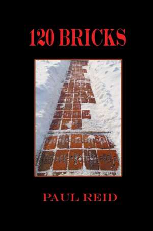 120 Bricks de Paul Reid