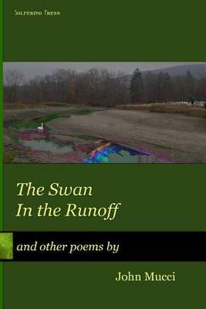 Swan in the Runoff de MR John C. Mucci