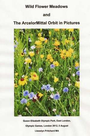 Wild Flower Meadows and the Arcelormittal Orbit in Pictures de Llewelyn Pritchard MS