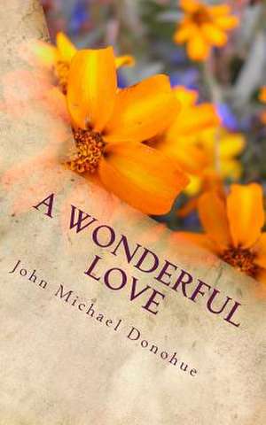 A Wonderful Love de John Michael Donohue