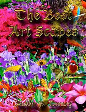 My Best Art Scapes de Torney, Austin P.