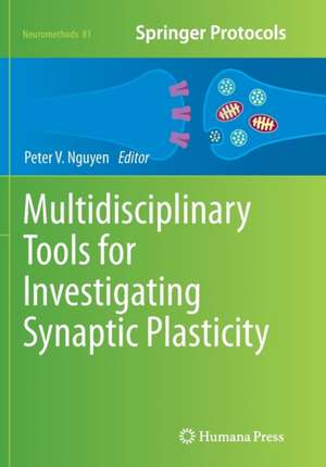 Multidisciplinary Tools for Investigating Synaptic Plasticity de Peter V. Nguyen