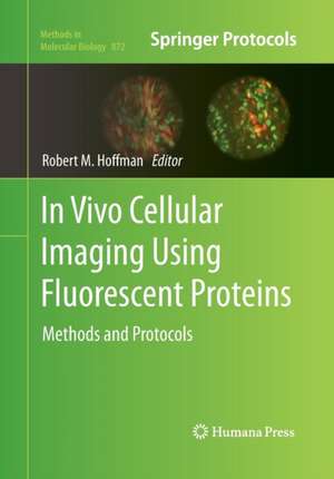 In Vivo Cellular Imaging Using Fluorescent Proteins: Methods and Protocols de Robert Hoffman