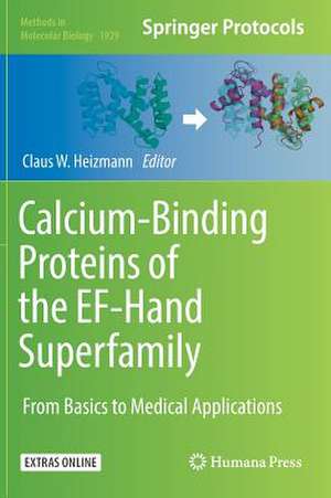 Calcium-Binding Proteins of the EF-Hand Superfamily: From Basics to Medical Applications de Claus W. Heizmann