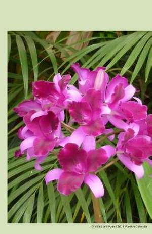 Orchid and Palms 2014 Weekly Calendar de K. Rose