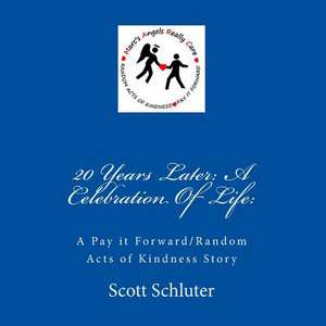 20 Years Later de Scott C. Schluter