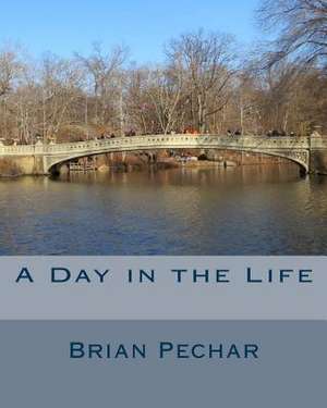 A Day in the Life de Brian Pechar